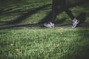 Move More, Sit Less: The Key to Long-Term Health