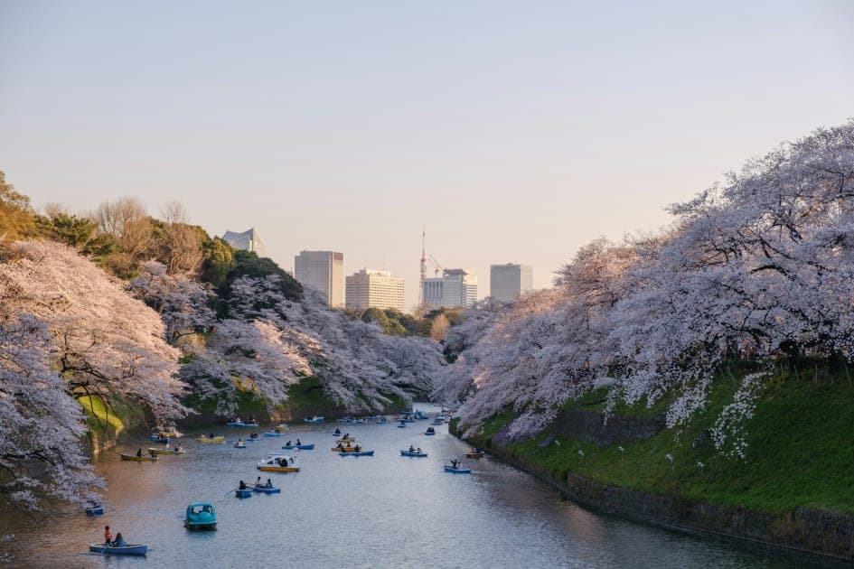 Top 3 Countries to Visit in 2025: Japan, China & Italy