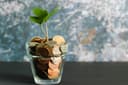 Mastering Finance and Investing: A Beginner's Guide to Building Wealth